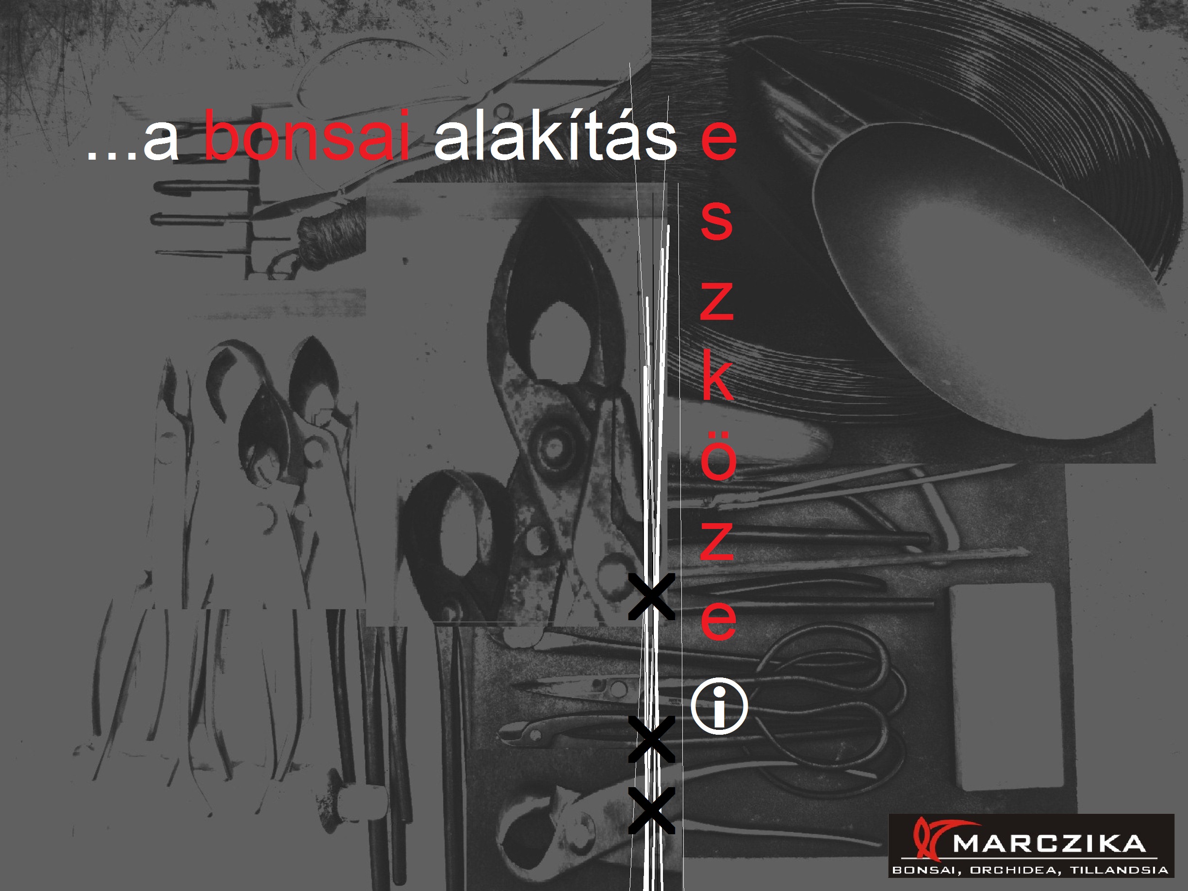 bonsai szerszámok, a bonsai alakítás és bonsai gondozás eszközei, A bonsai szerszámok, a bonsai alakítás és bonsai gondozás nélkülözhetetlen eszközei.